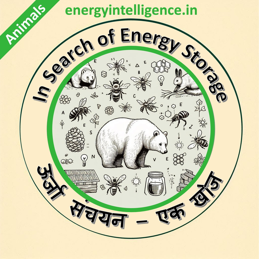 Energy storage in the animal kingdom (पशु जगत में ऊर्जा संग्रहण)