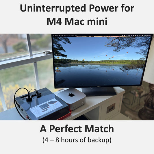 Image of Energy Intelligence Power station next to Mac mini M4 connected to a 24" monitor