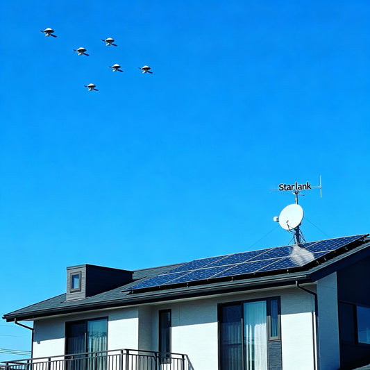 Starlink in India and energyintelligence.in